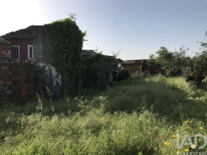 Moradia T5 para Venda em Freixianda, Ribeira do Fárrio e Formigais Foto 4