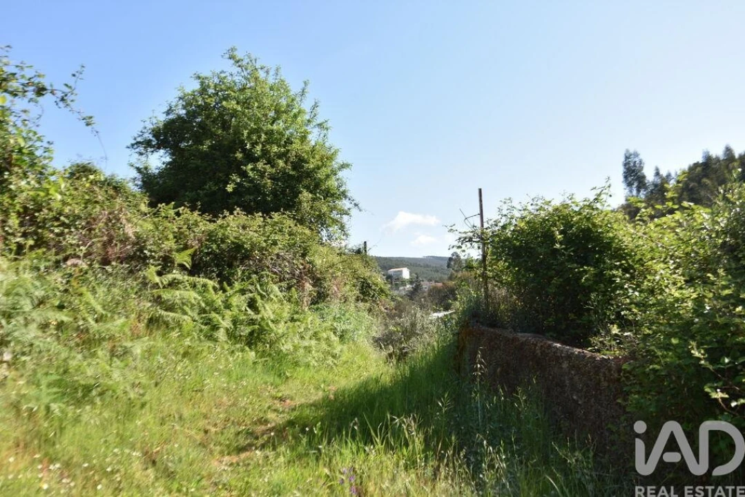 Moradia para Venda em Pampilhosa da Serra Foto 34