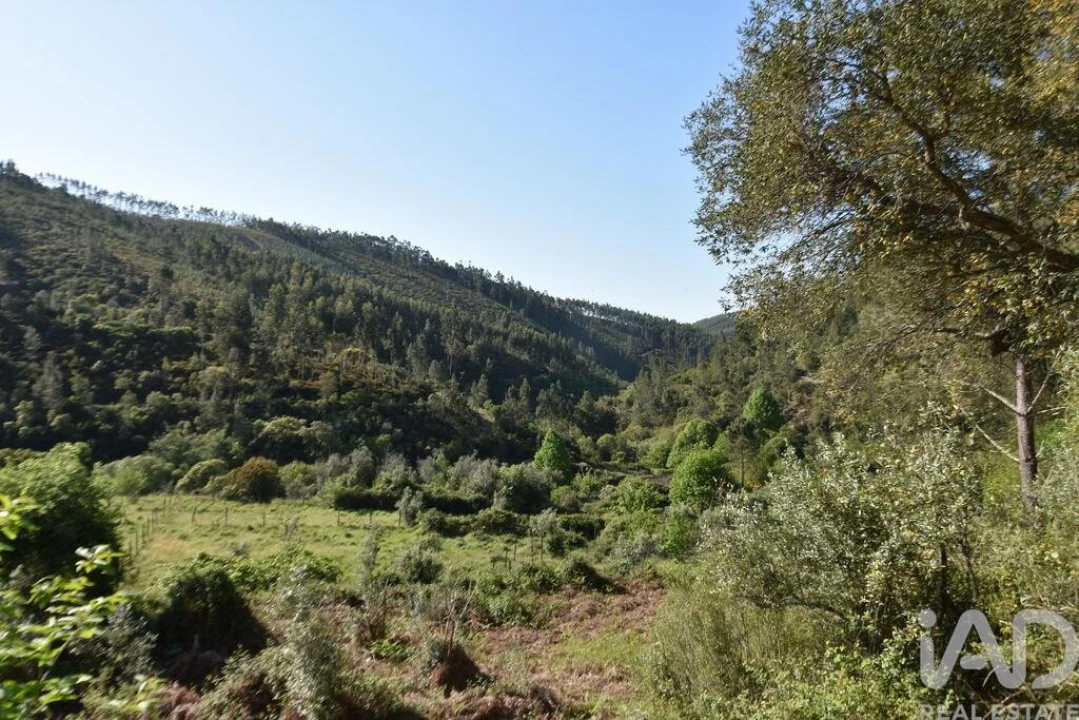 Moradia para Venda em Pampilhosa da Serra Foto 24