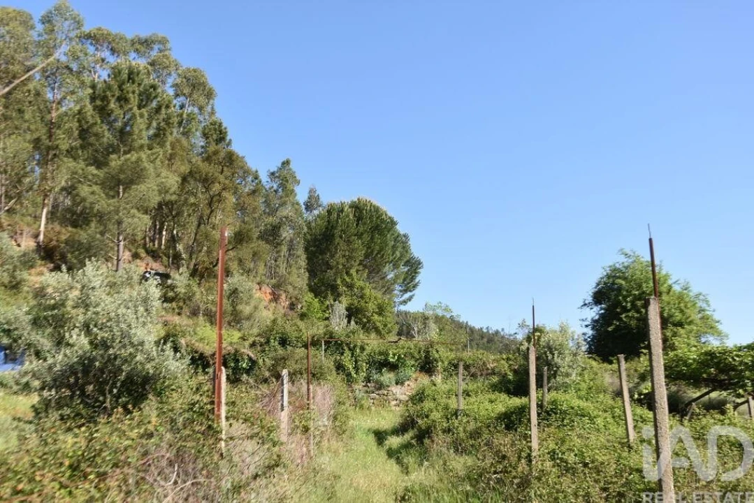 Moradia para Venda em Pampilhosa da Serra Foto 33