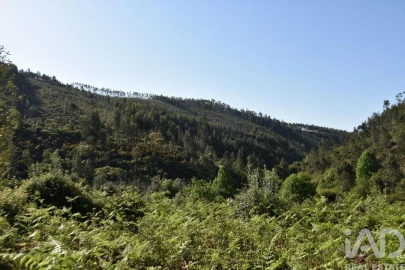 Moradia para Venda em Pampilhosa da Serra