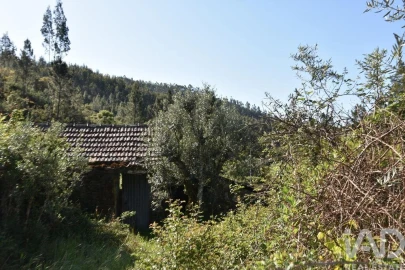 Moradia para Venda em Pampilhosa da Serra