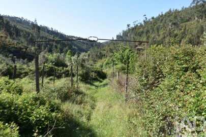 Moradia para Venda em Pampilhosa da Serra