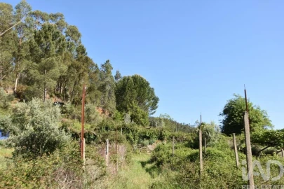 Moradia para Venda em Pampilhosa da Serra