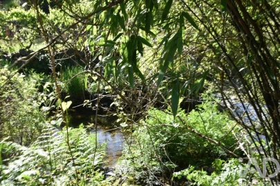 Moradia para Venda em Pampilhosa da Serra