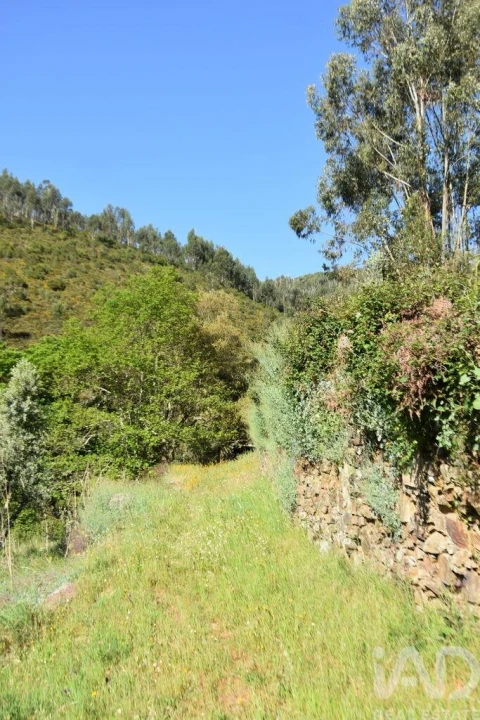 Moradia para Venda em Pampilhosa da Serra