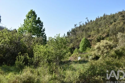 Moradia para Venda em Pampilhosa da Serra