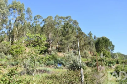 Moradia para Venda em Pampilhosa da Serra