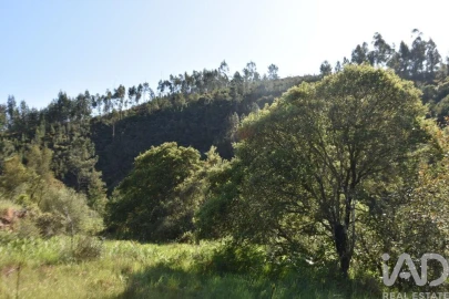 Moradia para Venda em Pampilhosa da Serra