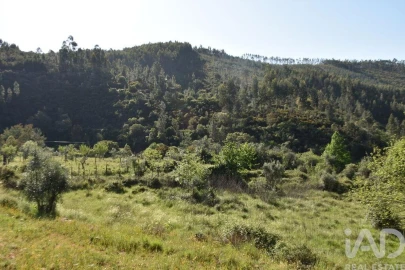 Moradia para Venda em Pampilhosa da Serra