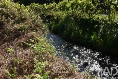 Moradia para Venda em Pampilhosa da Serra