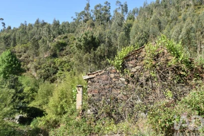 Moradia para Venda em Pampilhosa da Serra
