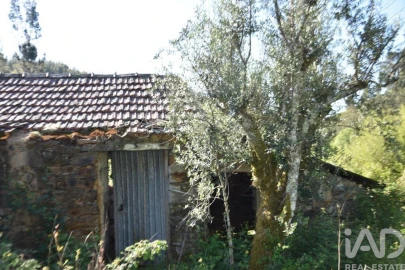 Moradia para Venda em Pampilhosa da Serra