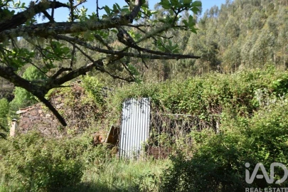 Moradia para Venda em Pampilhosa da Serra