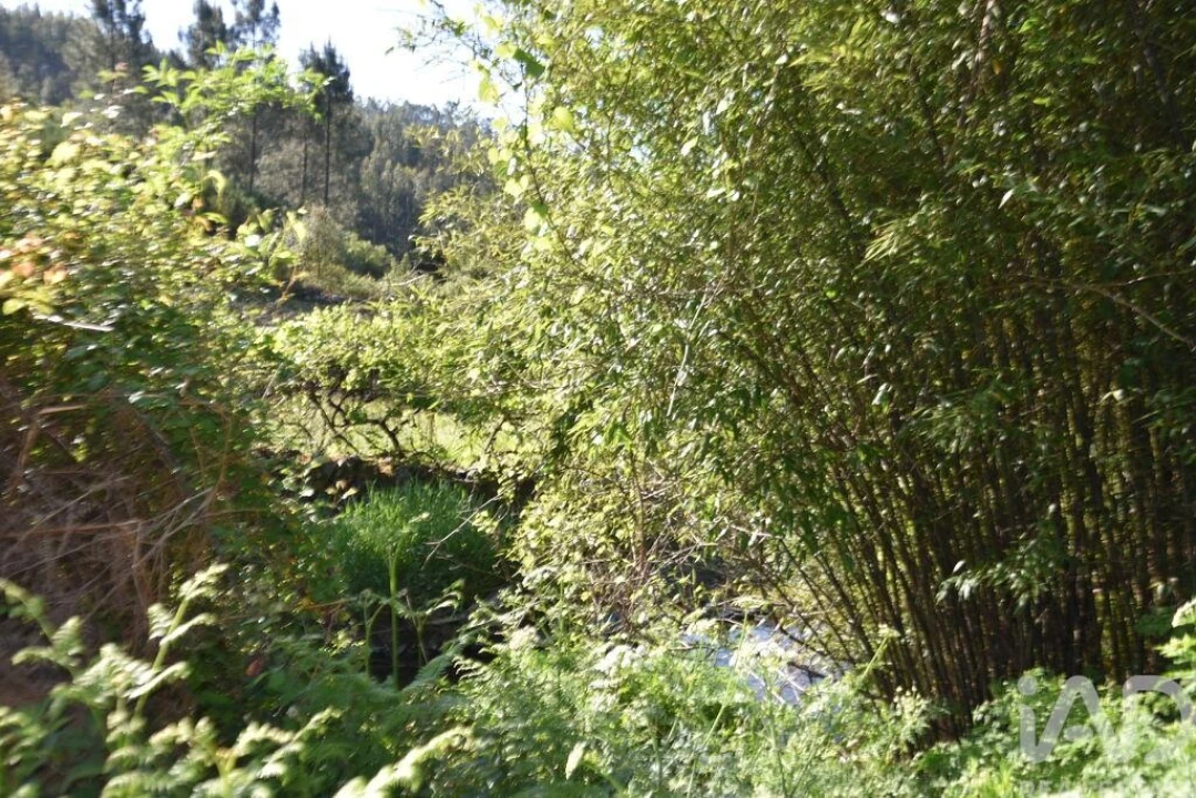 Moradia para Venda em Pampilhosa da Serra Foto 20