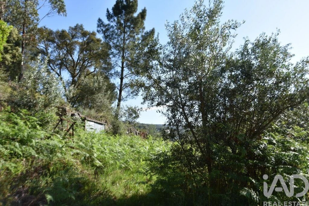 Moradia para Venda em Pampilhosa da Serra Foto 22