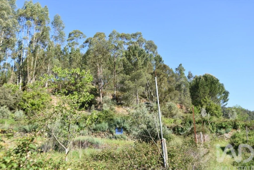 Moradia para Venda em Pampilhosa da Serra Foto 29