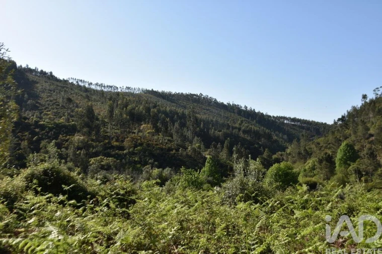 Moradia para Venda em Pampilhosa da Serra Foto 27