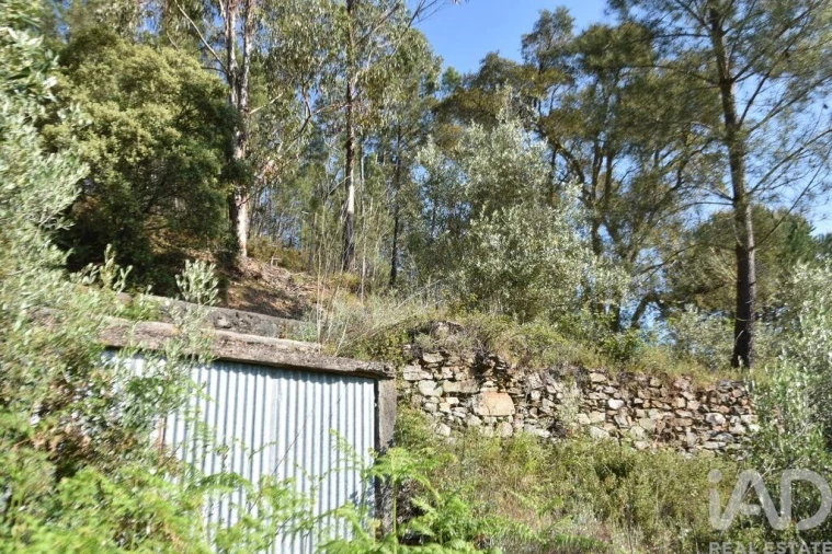 Moradia para Venda em Pampilhosa da Serra Foto 9