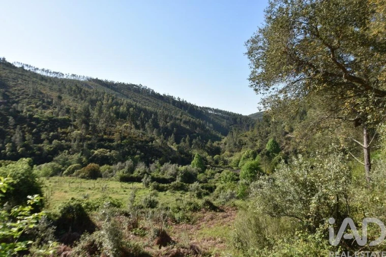 Moradia para Venda em Pampilhosa da Serra Foto 24