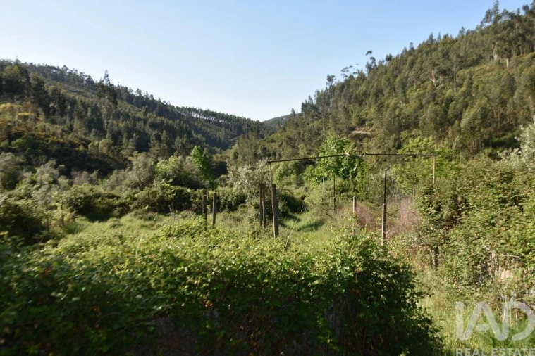 Moradia para Venda em Pampilhosa da Serra Foto 28