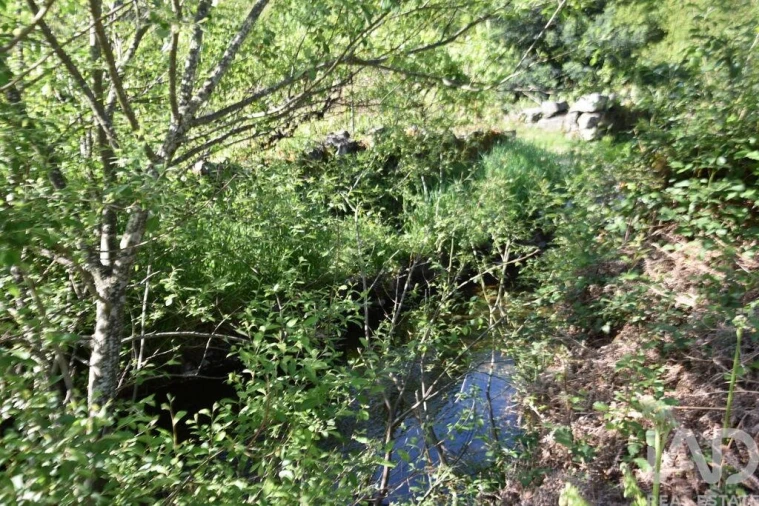 Moradia para Venda em Pampilhosa da Serra Foto 39