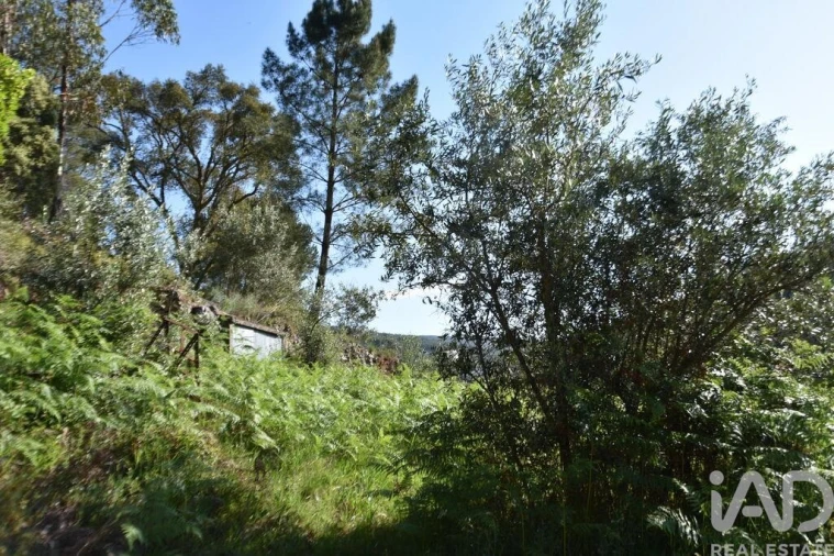 Moradia para Venda em Pampilhosa da Serra Foto 22