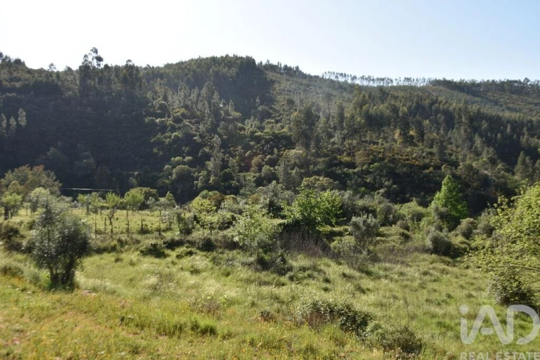 Moradia para Venda em Pampilhosa da Serra Foto 25