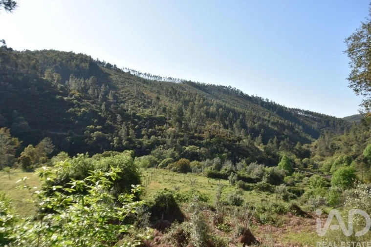 Moradia para Venda em Pampilhosa da Serra Foto 40