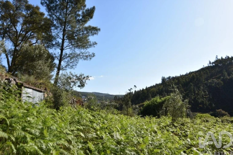 Moradia para Venda em Pampilhosa da Serra Foto 26