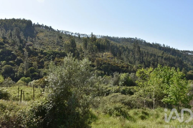 Moradia para Venda em Pampilhosa da Serra Foto 36