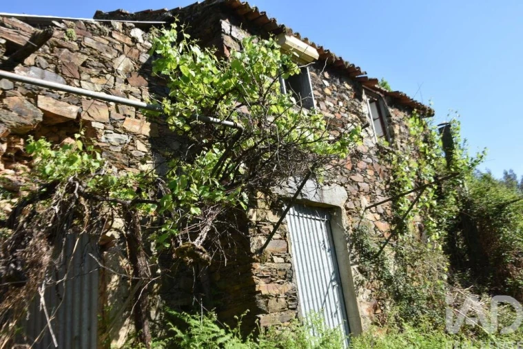 Moradia para Venda em Pampilhosa da Serra Foto 3