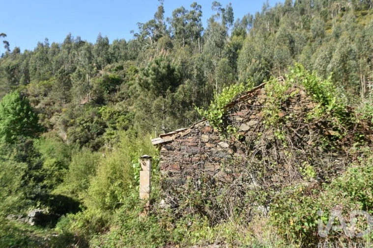 Moradia para Venda em Pampilhosa da Serra Foto 8