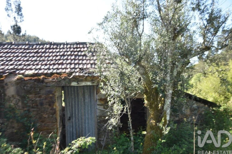 Moradia para Venda em Pampilhosa da Serra Foto 5