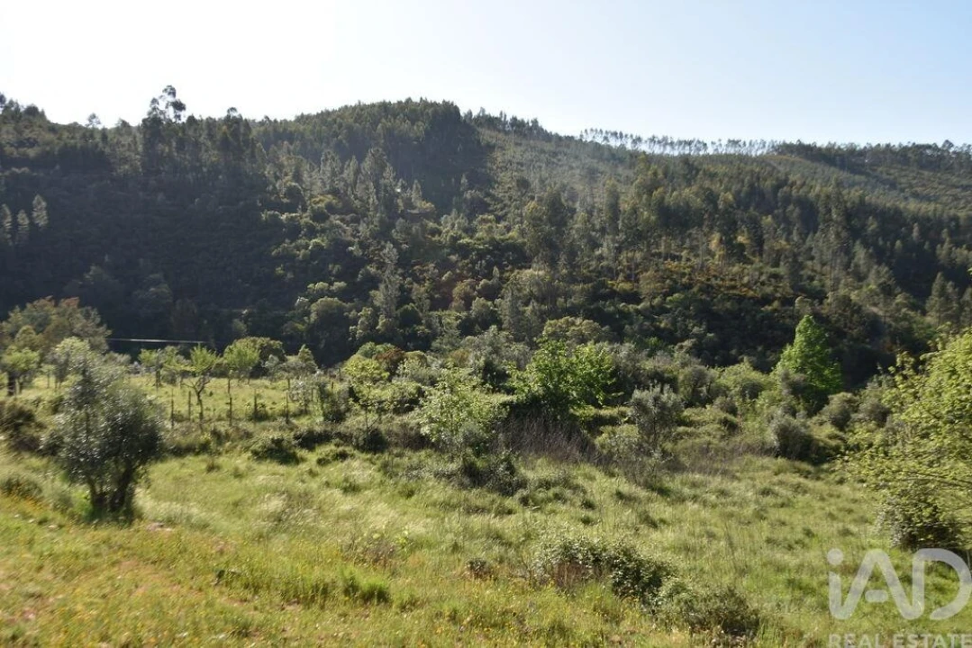 Moradia para Venda em Pampilhosa da Serra Foto 25