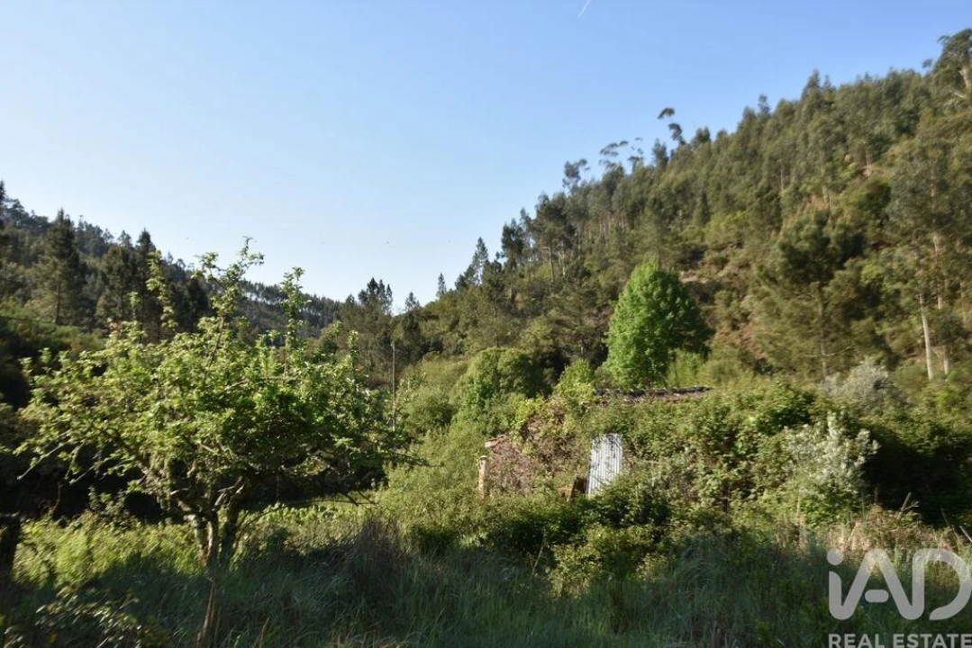Moradia para Venda em Pampilhosa da Serra Foto 32