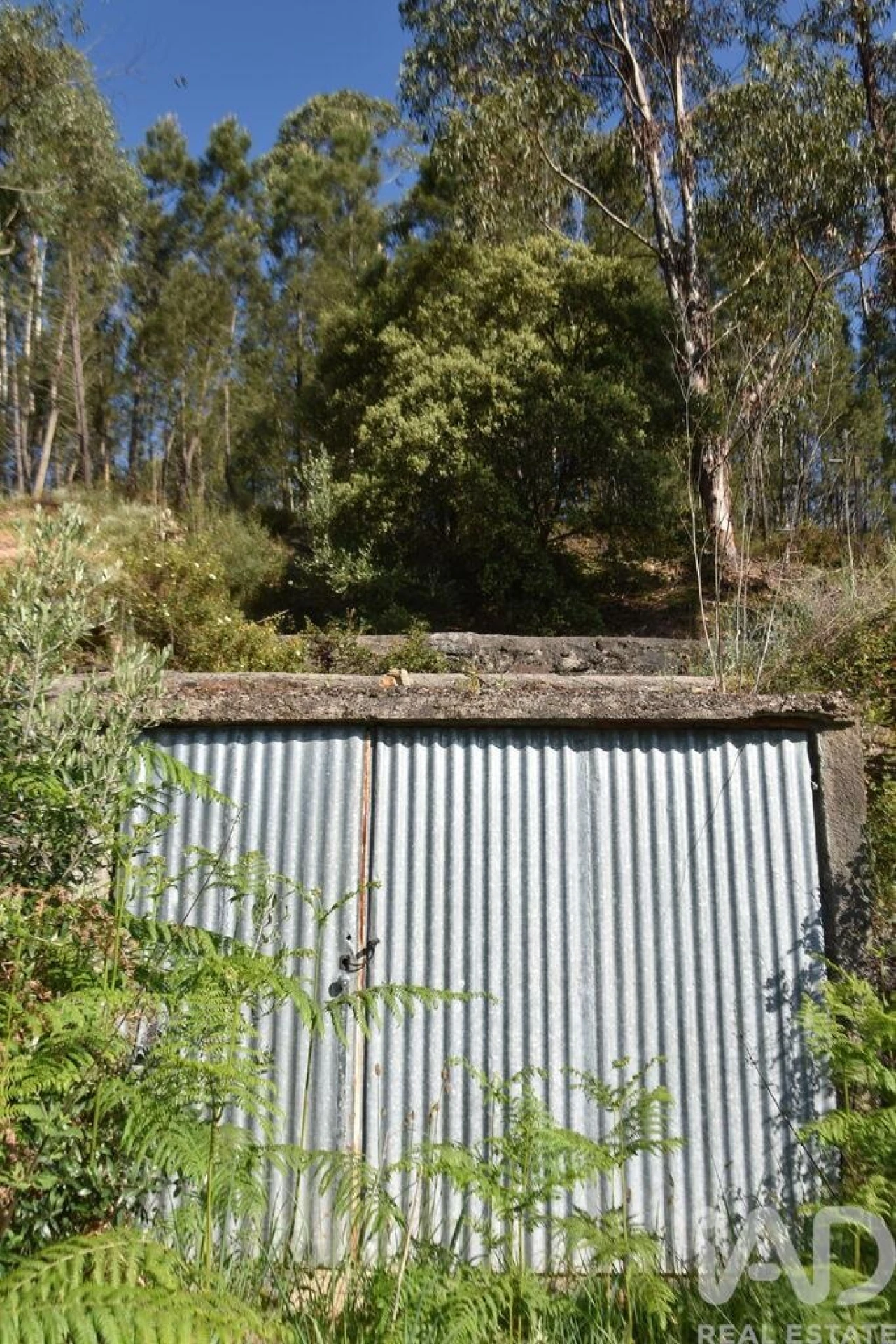 Moradia para Venda em Pampilhosa da Serra Foto 10
