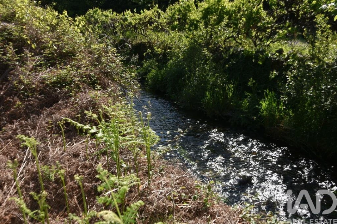 Moradia para Venda em Pampilhosa da Serra Foto 19