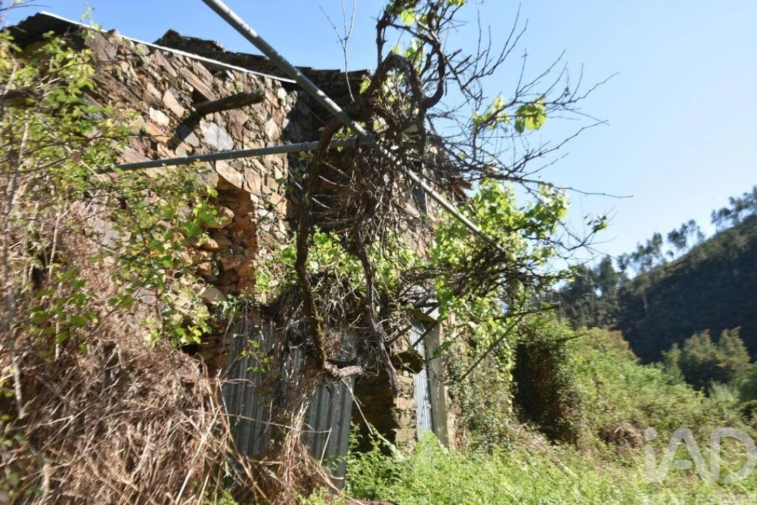 Moradia para Venda em Pampilhosa da Serra Foto 18