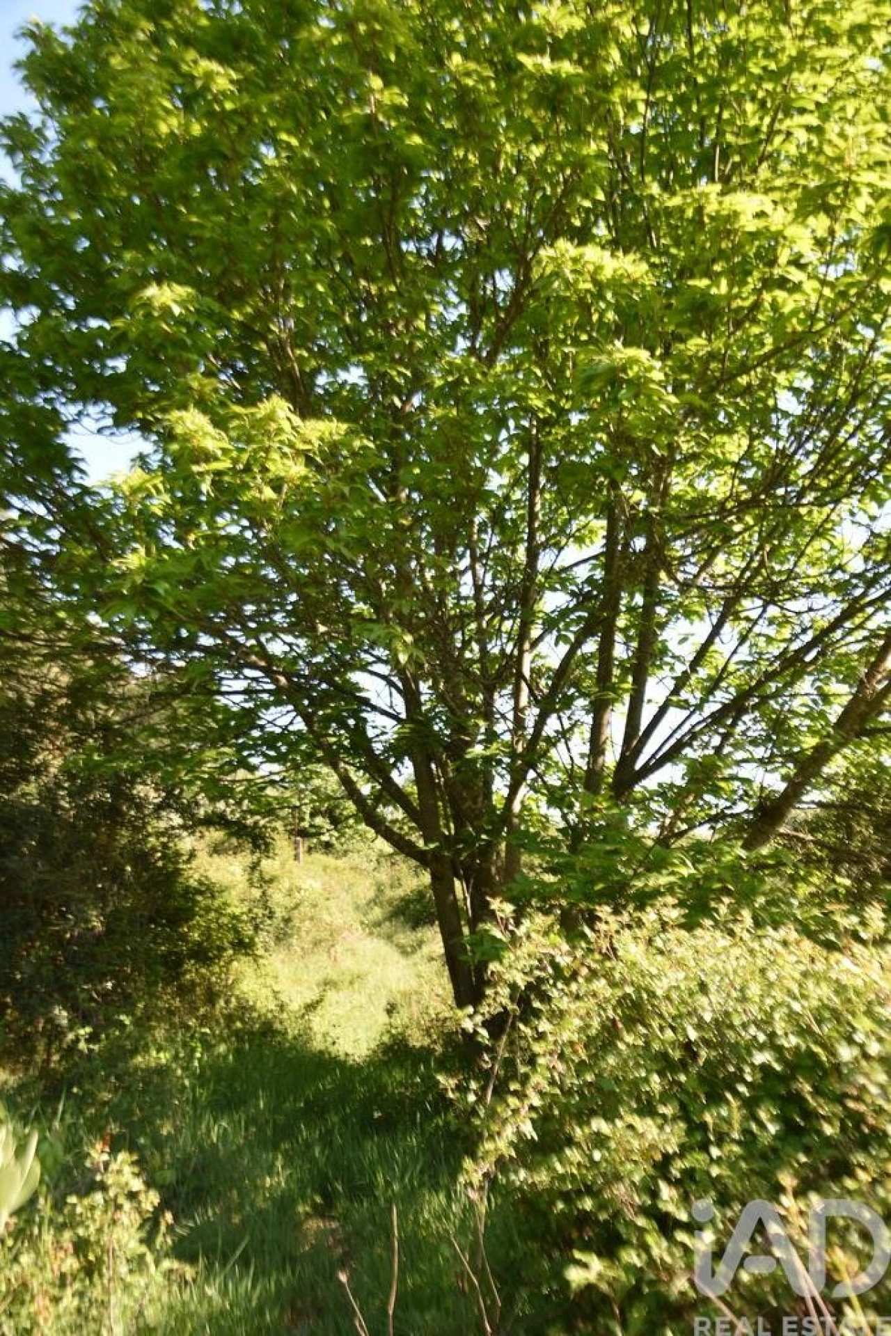 Moradia para Venda em Pampilhosa da Serra Foto 23