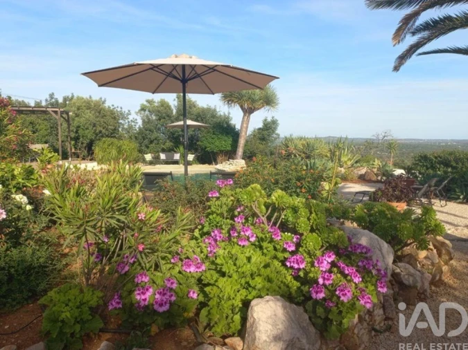 Moradia T3 para Venda em Silves Foto 34