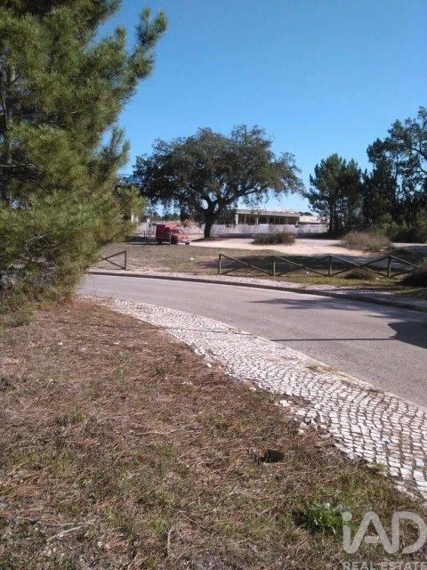 Terreno para Venda em Azeitão (São Lourenço e São Simão)
