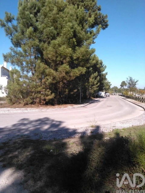 Terreno para Venda em Azeitão (São Lourenço e São Simão)