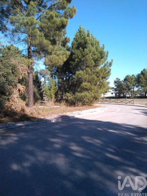 Terreno para Venda em Azeitão (São Lourenço e São Simão)