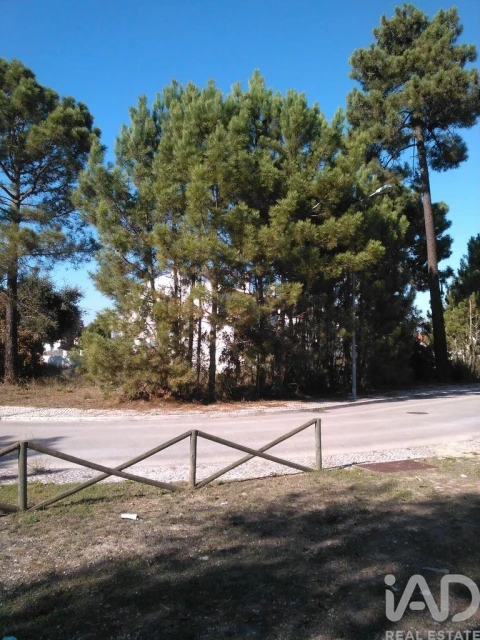 Terreno para Venda em Azeitão (São Lourenço e São Simão)