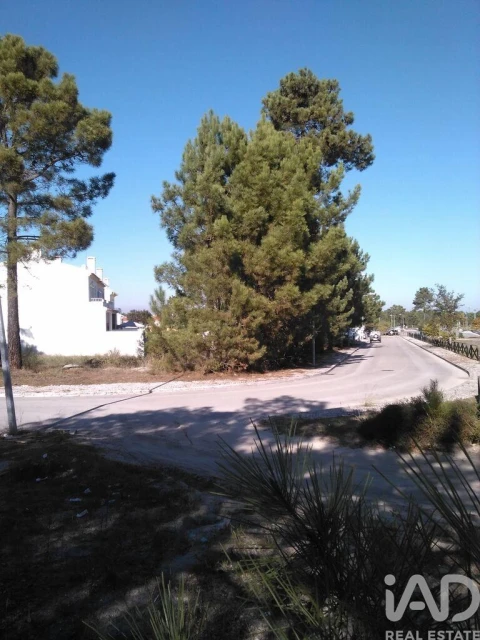 Terreno para Venda em Azeitão (São Lourenço e São Simão)