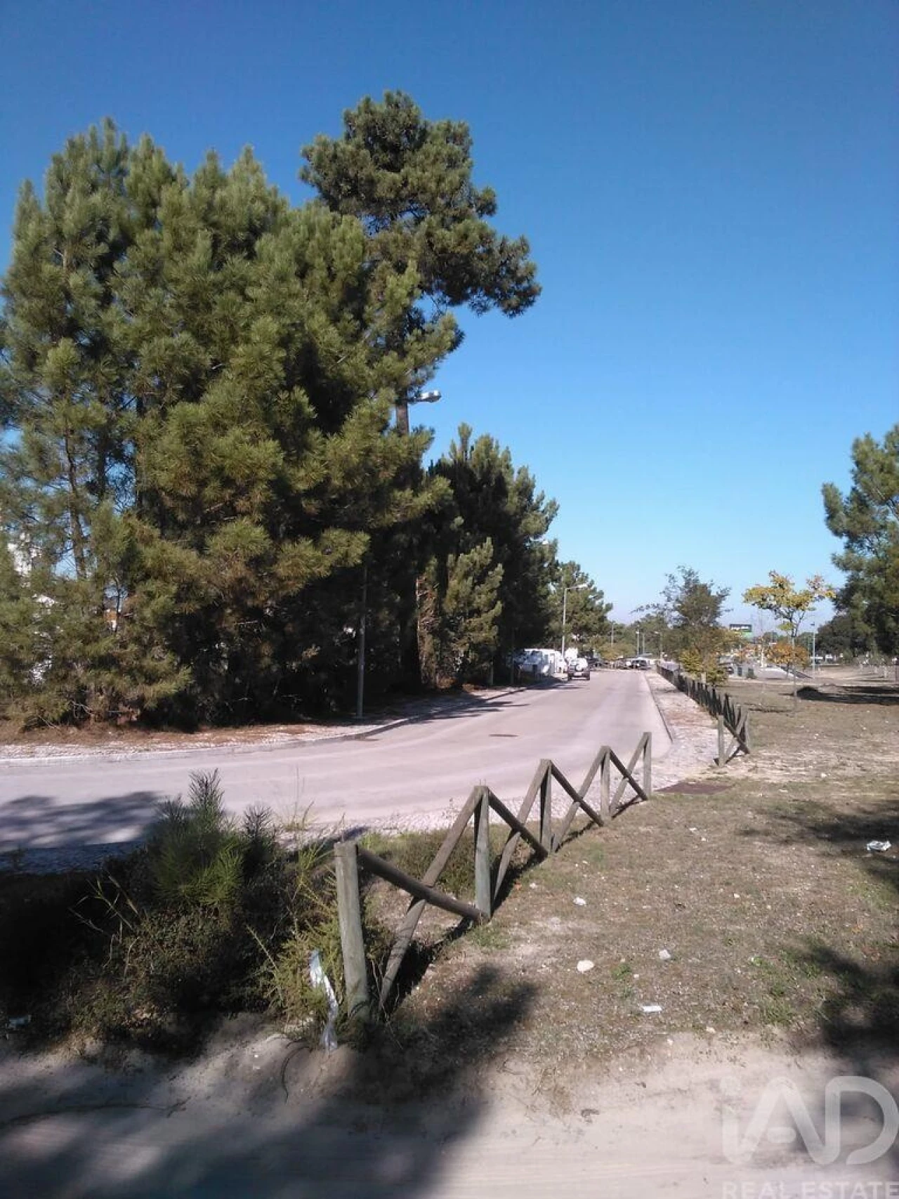 Terreno para Venda em Azeitão (São Lourenço e São Simão) Foto 5