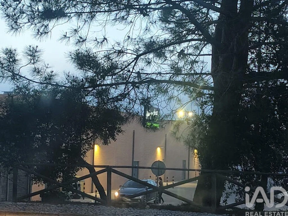 Terreno para Venda em Azeitão (São Lourenço e São Simão) Foto 7