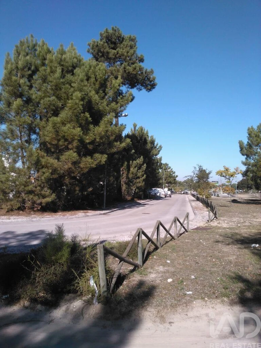 Terreno para Venda em Azeitão (São Lourenço e São Simão) Foto 5
