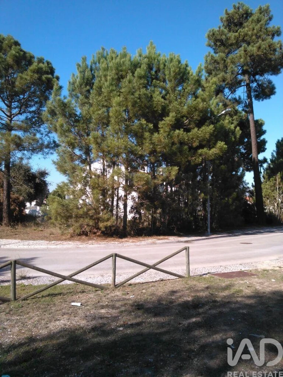 Terreno para Venda em Azeitão (São Lourenço e São Simão) Foto 8